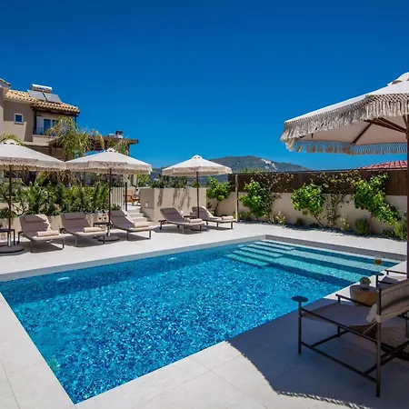 Alexandros Villa *